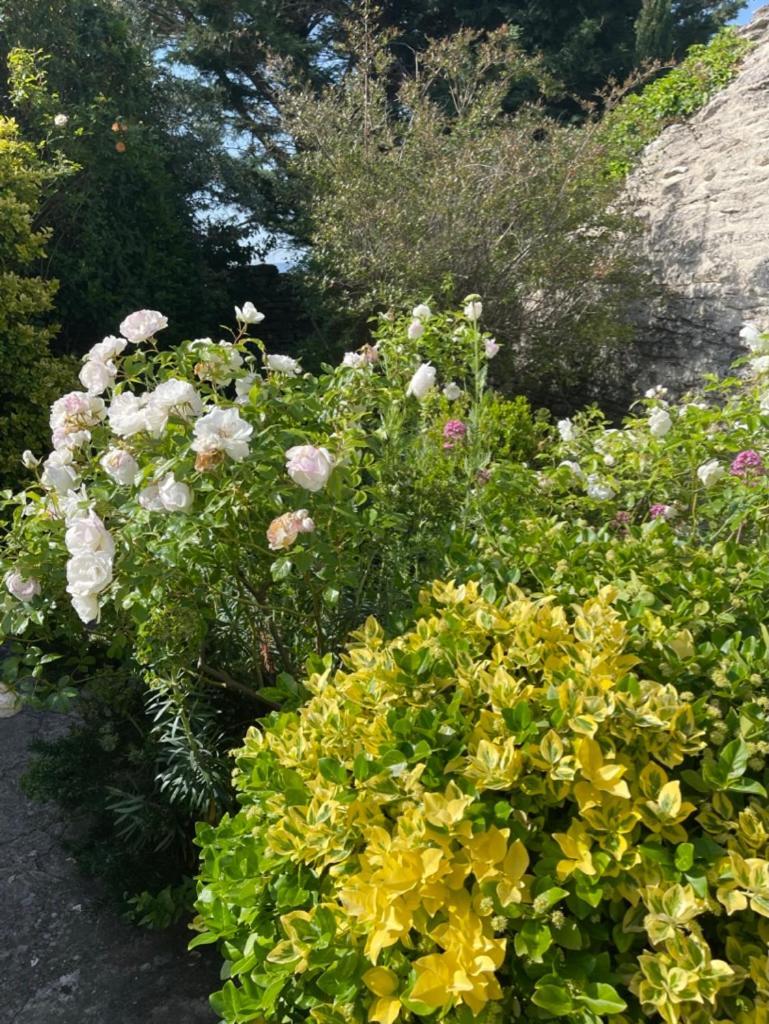Bed and Breakfast La Borie en Provence Gordes Exterior foto