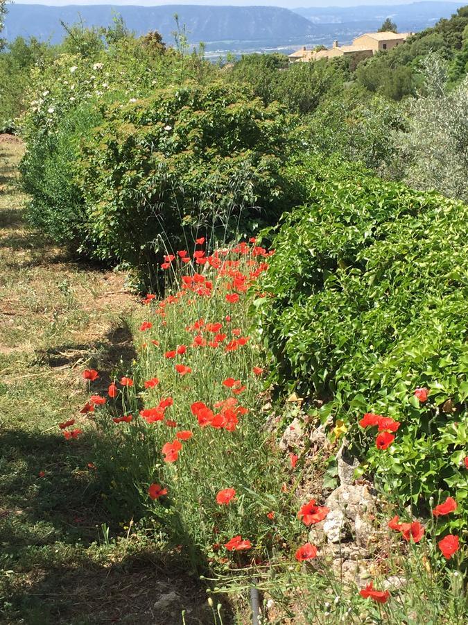 La Borie en Provence Bed and Breakfast Gordes Exterior foto