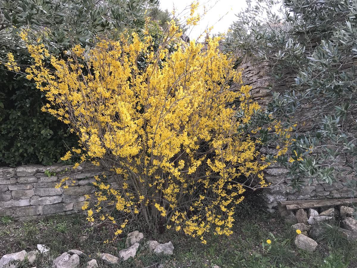 La Borie en Provence Bed and Breakfast Gordes Exterior foto